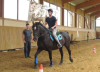 Pologne - SUMMER CAMP SPORT and HORSES - 18  24 ans
