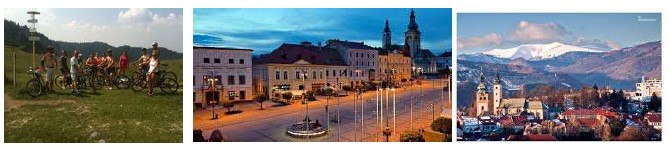 Annotation 2020-02-03 175955 Annotation 2020-02-03 175955