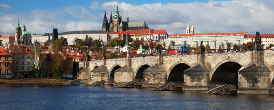 Capture d'�cran 2026-02-22 185255